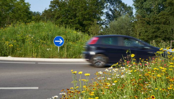 Comment une dashcam peut vous aider à réduire votre prime d’assurance
